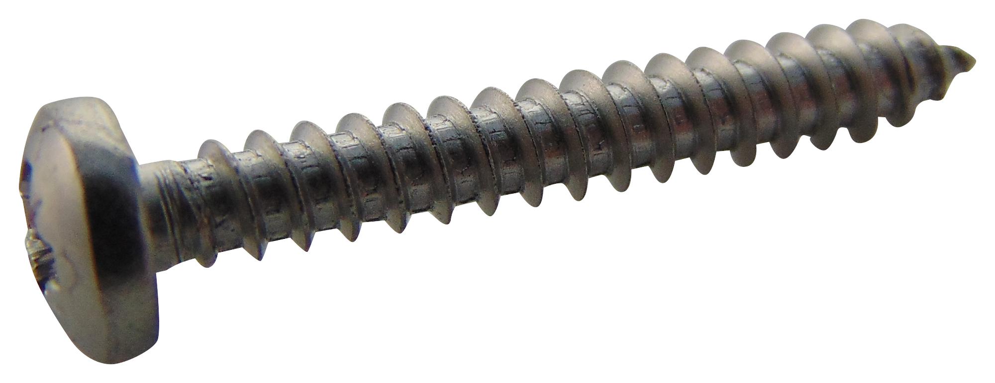 TR FASTENINGS N61.000 PRA2ABS100- Tornillos Autorroscantes