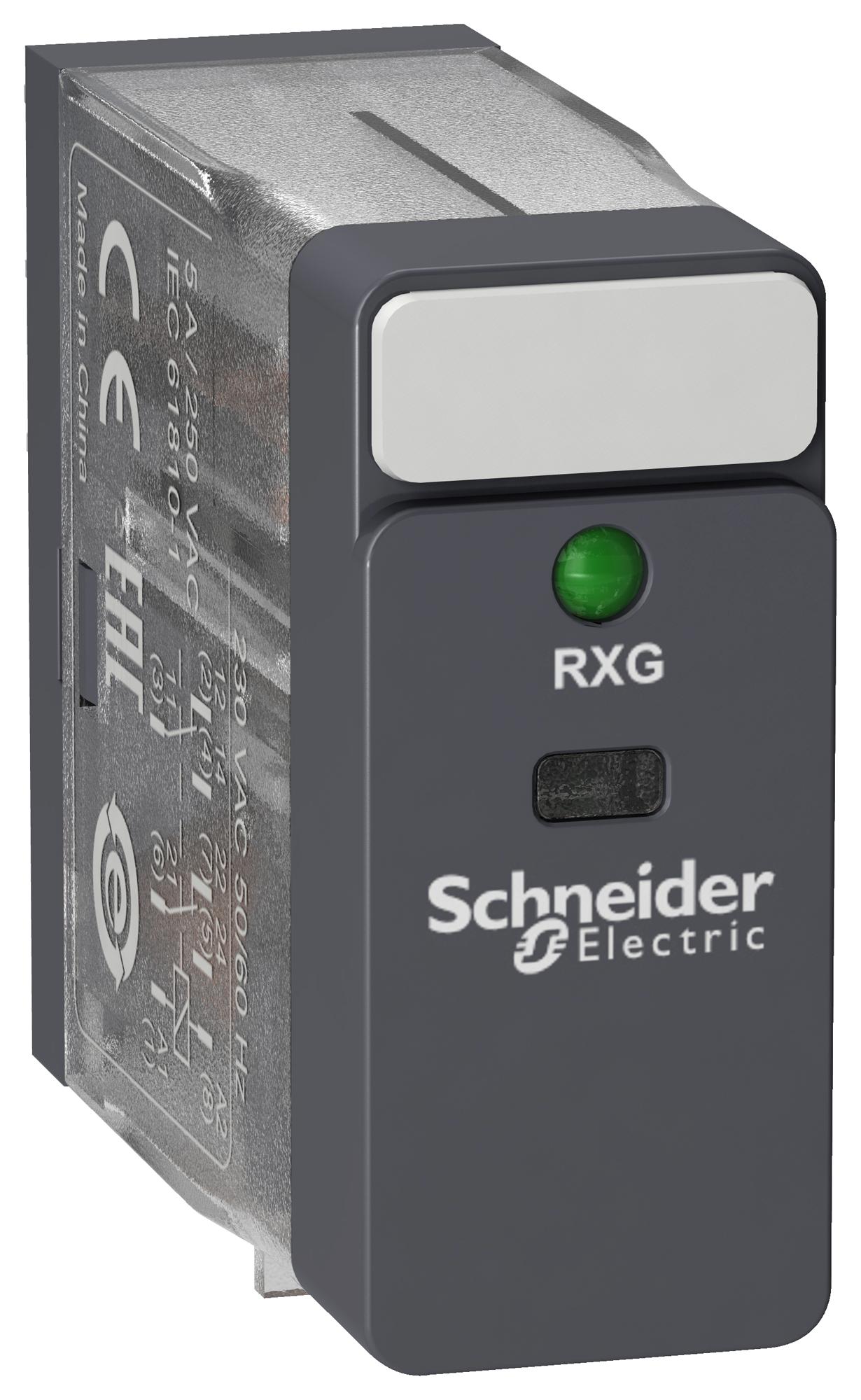 SCHNEIDER ELECTRIC RXG23P7 Relés De Potencia