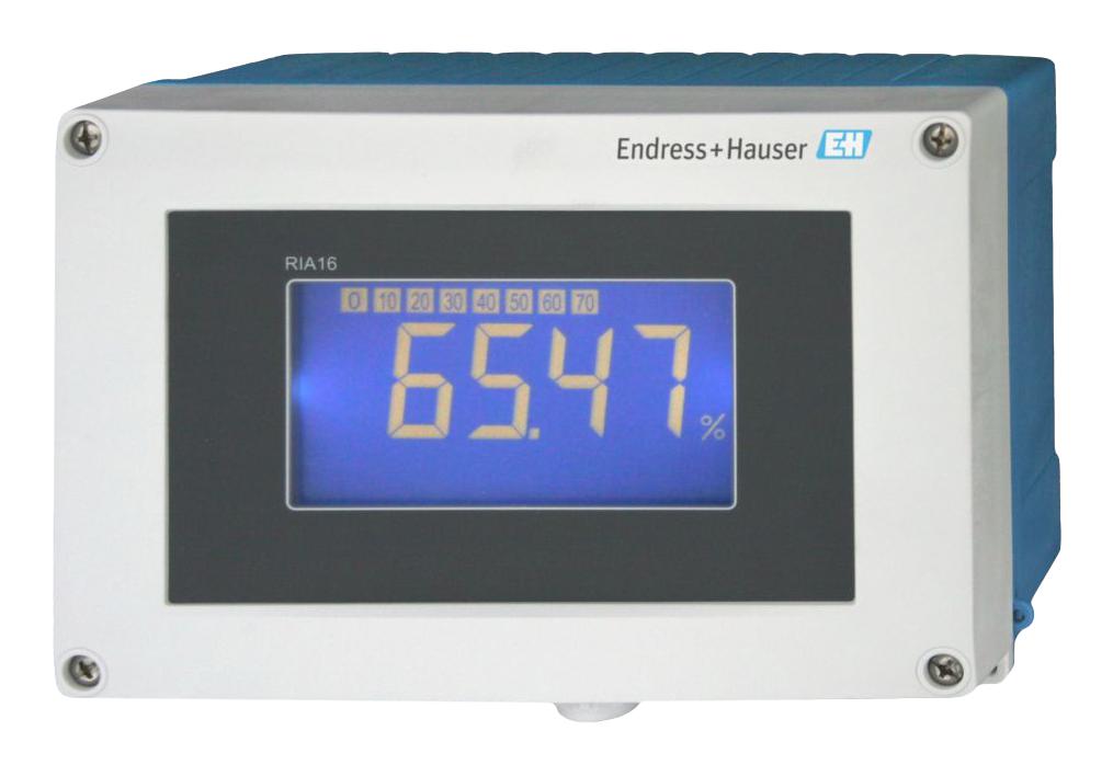 ENDRESS+HAUSER RIA16-BA2A Medidores Digitales De Panel