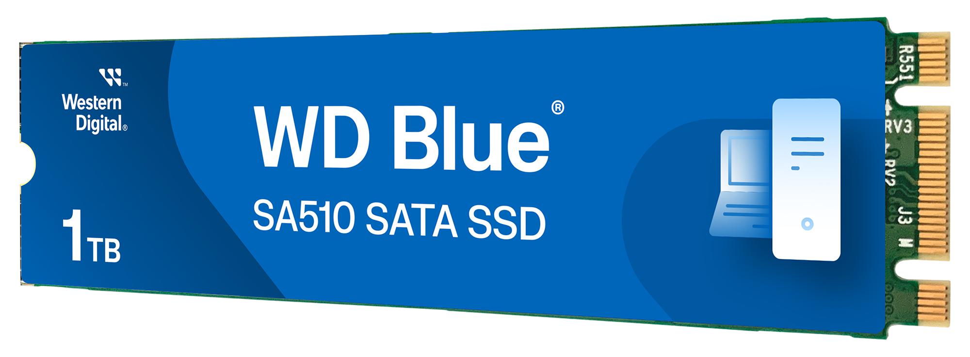 WD WDS100T3B0B Unidades De Estado Sólido (SSD)