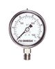 OMEGA PGM-100L-300PSI/20BAR