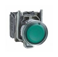 SCHNEIDER ELECTRIC XB4BW13B5