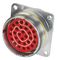 CINCH CONNECTIVITY SOLUTIONS BACC63BV24F57P7H