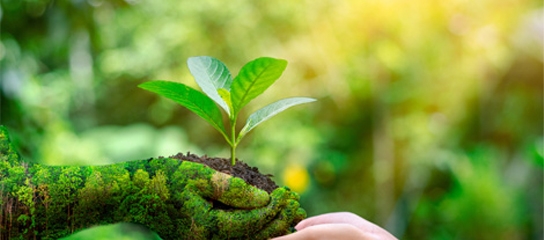 Medioambiente