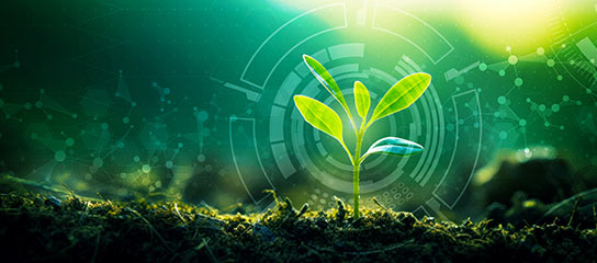 Agricultura