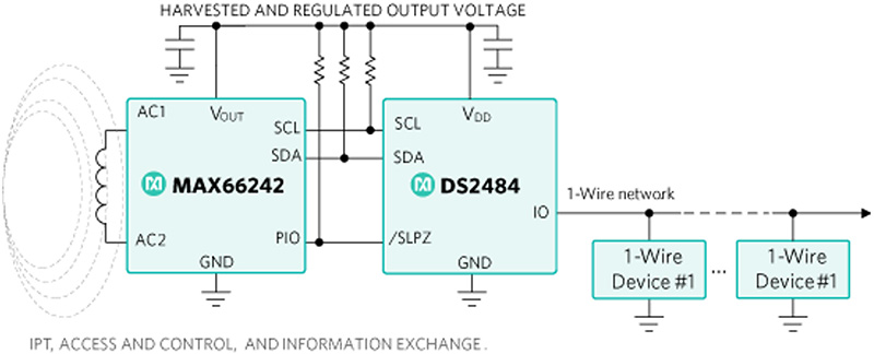 Diagram of MAX66242 powers the DS2484 and 1-Wire devices through V<sub>OUT</sub>